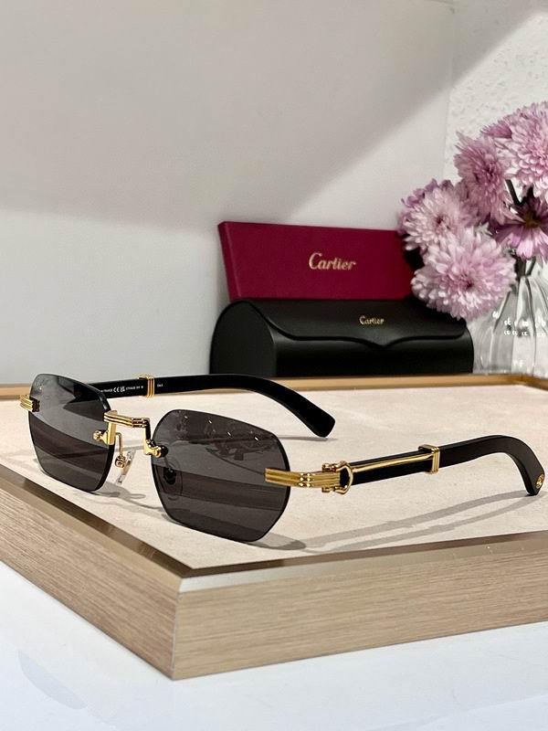 Cartier Sunglasses 115